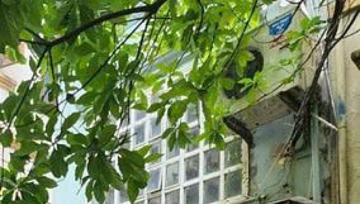 Cho thuê MBKD NHÀ HÀNG CHAY, CÀ PHÊ, SPA ngõ 48 phố Tràng Thi, Hoàn Kiếm, Hà Nội.